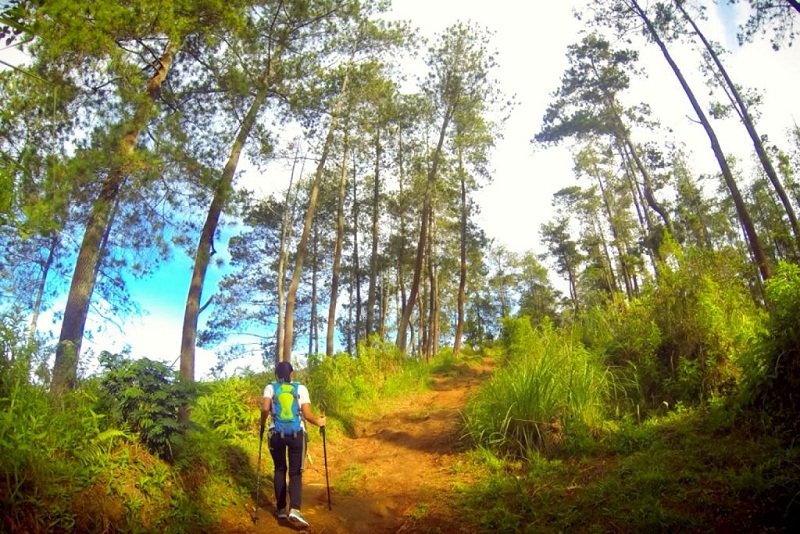 Berpetualang Menyusuri Taman Hutan Jaya Giri Lembang
