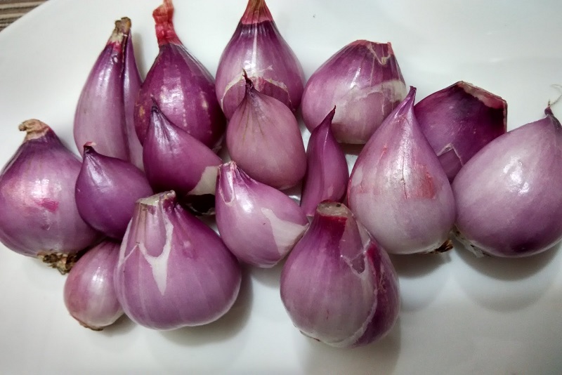 Walaupun Memiliki Bau yang Menyengat, Ternyata Bawang Memiliki Manfaat yang Luar Biasa bagi Kesehatan