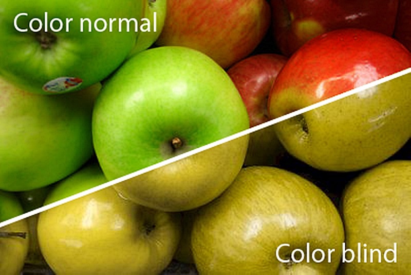 Buta Warna, Bisakah Sembuh Secara Total?