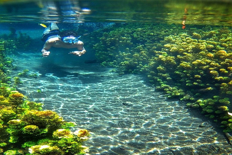 Panorama Indah Underwater Sumber Sirah Gondanglegi
