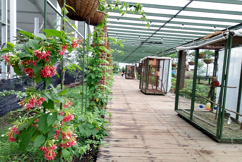 Mau Nge-mall Naturalis? Yuk, ke Gardenice!