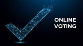 Jasa vote website