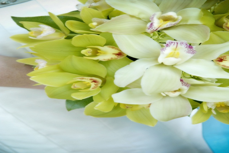 Untuk Kamu yang Sedang Menunggu Jodoh…