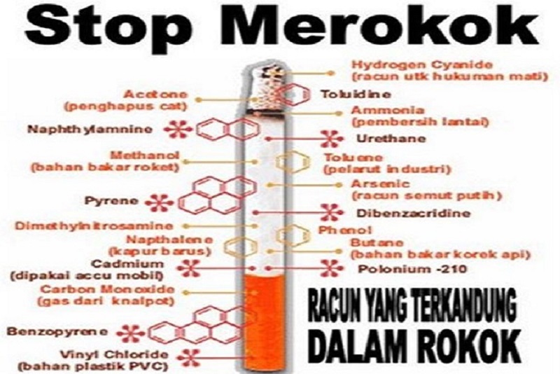 Stop Rokok! Matikan Rokok sebelum Rokok Mematikan Anda!!!