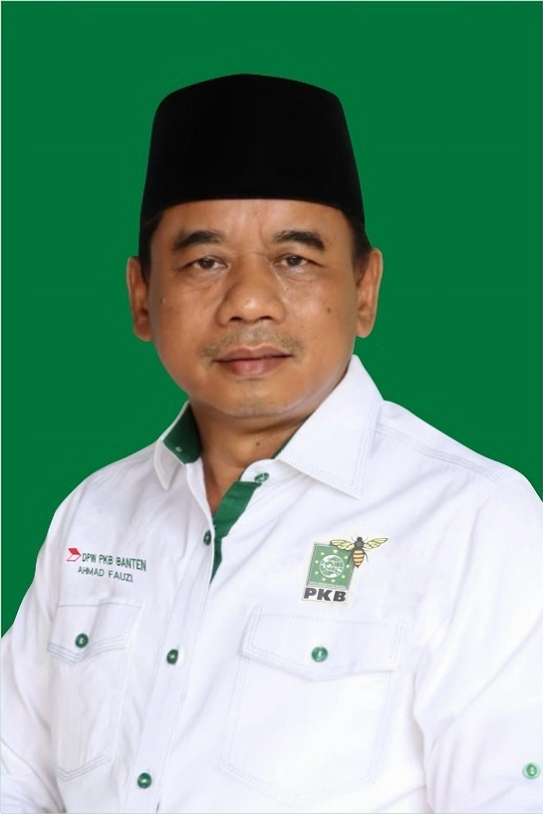 Menelusuri Jejak Karir Ahmad Fauzi (PKB) di Daerah Pemilihan Banten I