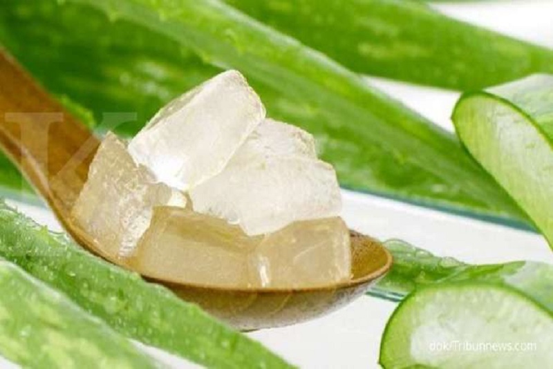 Atasi Diabetes Melitus Dengan Herbal Berikut