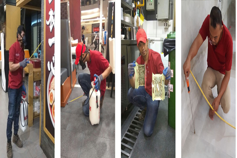 Kenali Tanda Rayap Bersarang di Rumah Anda