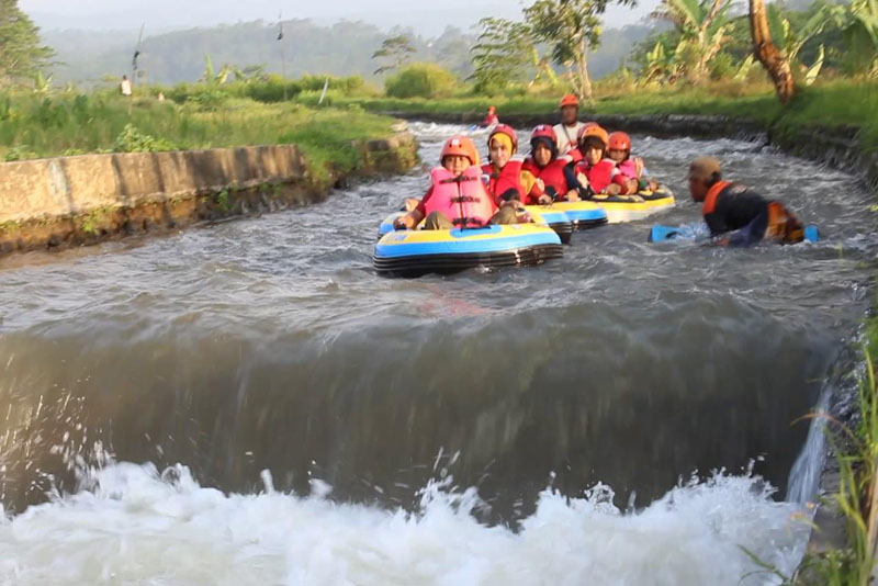 Serunya Tubing di Sungai Kupang Pandansari Sambil Menikmati Hamparan Sawah
