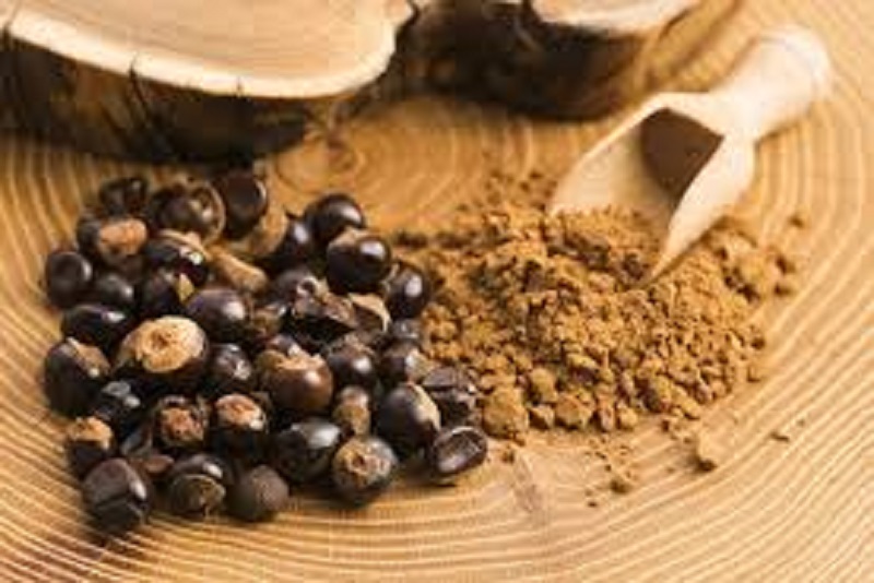 Perbedaan Kafein Guarana dan Kopi, Mana yang Lebih Stabil untuk Energi Harian?