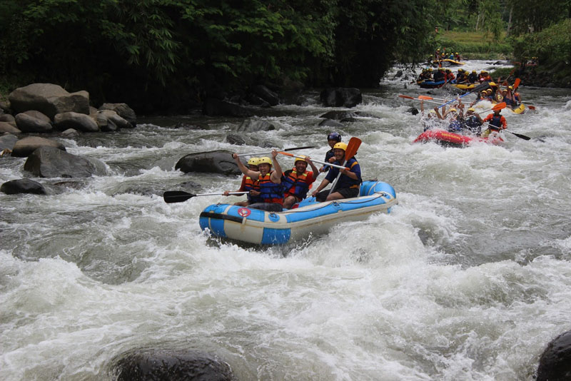 Rafting Menantang di Sungai Comal Pemalang