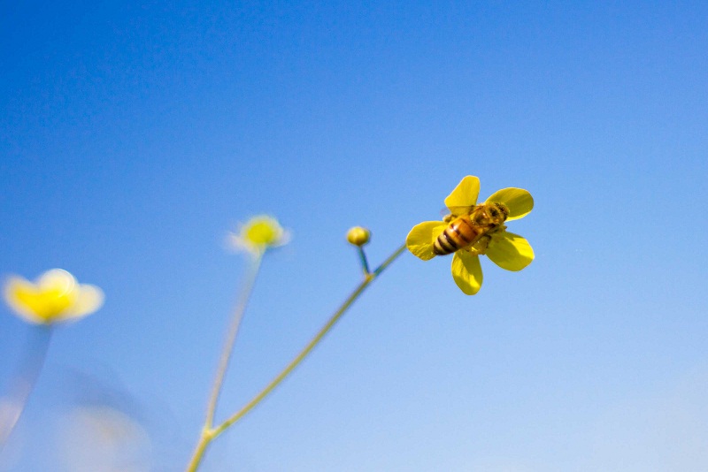 Hidup dan Perangkatnya…