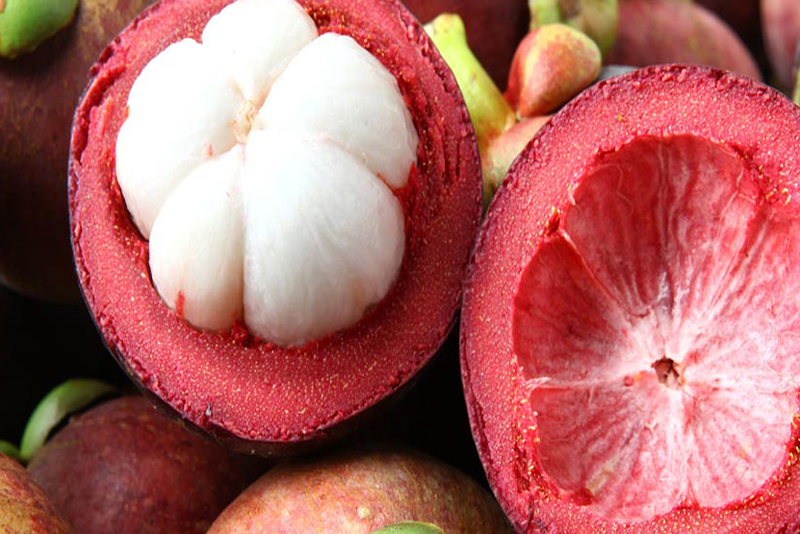 Tak Hanya Membuat Kulit Awet Muda, Manggis dapat Menyembuhkan Kanker