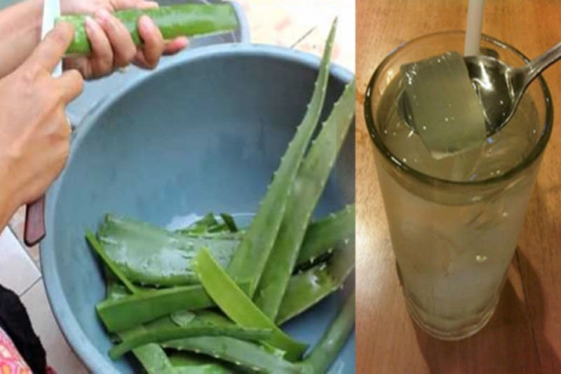 Cegah Gula Darah Naik dengan Lidah Buaya