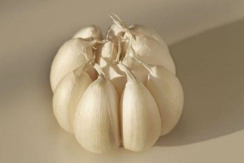 Bawang Putih Bisa Sebuhkan Jerawat, Benarkah?