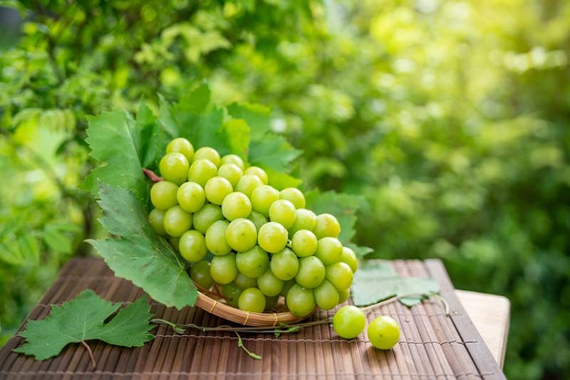 Tips Memilih Anggur Shine Muscat yang Manis dan Tidak Asam