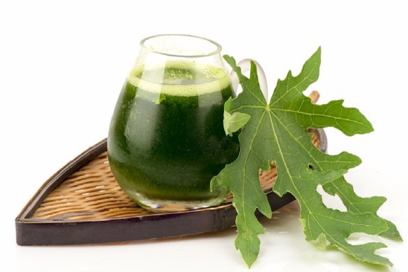 Resep Rebusan Daun Penurun Kolesterol Mudah Didapat Dekat Rumah