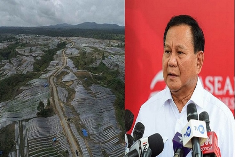 Anggaran Proyek Food Estate Rp 108.8 Triliun, Tetapi Hasilnya Zonk! Prabowo Harus Bertanggungjawab!