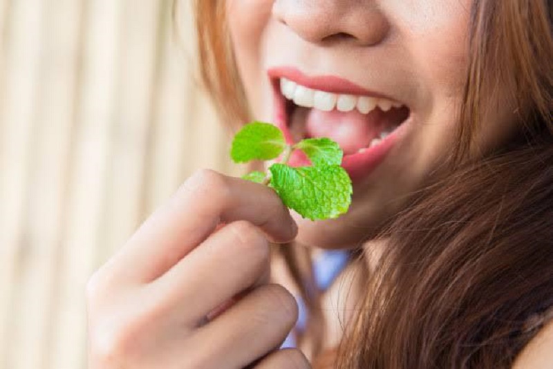 Jaga Kesehatan Mulut dengan Obat Herbal Berikut Ini