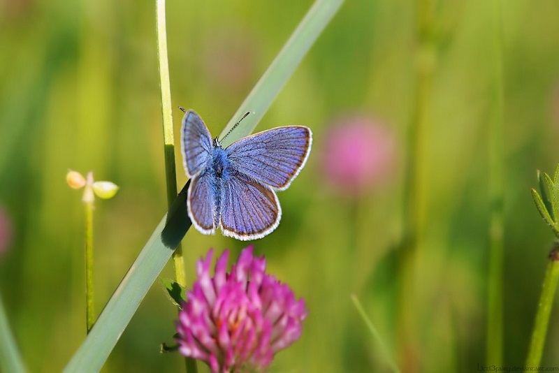 Hidup Indah Kini Juga Nanti