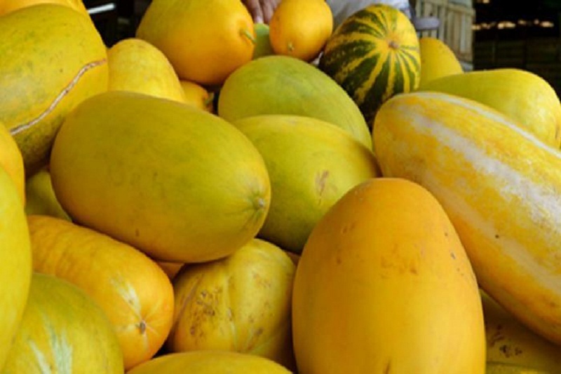 Lima Manfaat Pada Buah Timun Suri