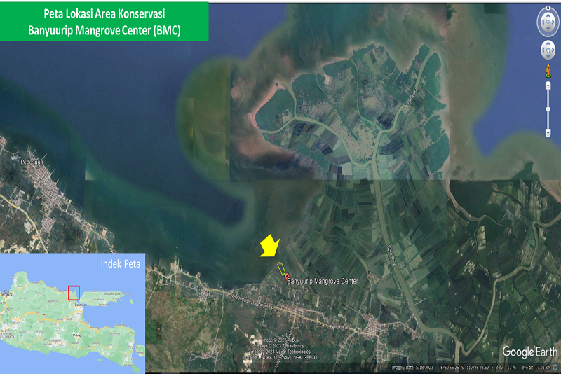 Program Biodiversity PGN Saka Energi Pionir dalam Melestarikan Keanekaragaman Hayati Bumi