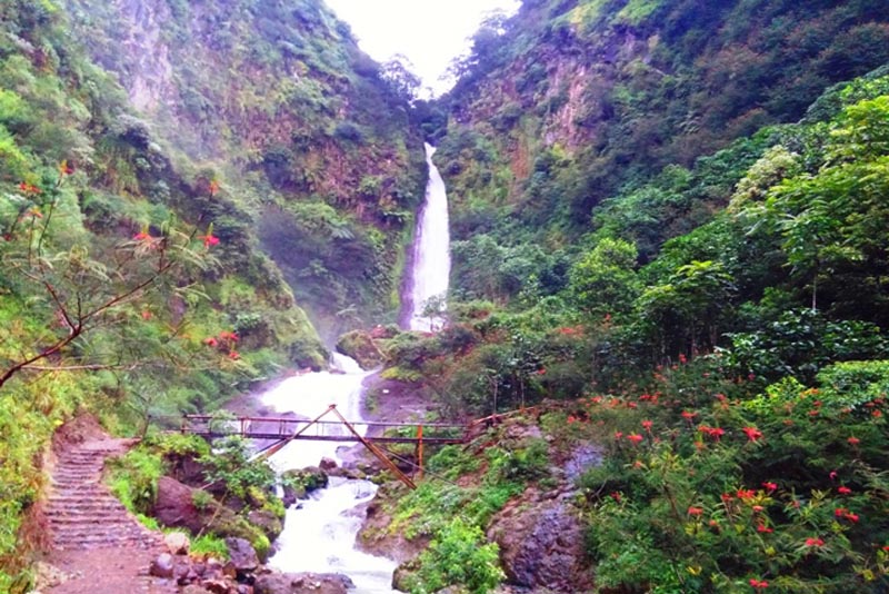 Petungkriyono Pukau Wisatawan dengan Aneka Curug, Tumbuhan dan Satwa Liar Eksotik