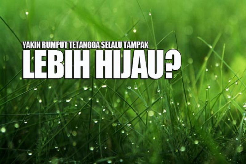 Yakin, Rumput Tetangga Lebih Hijau?