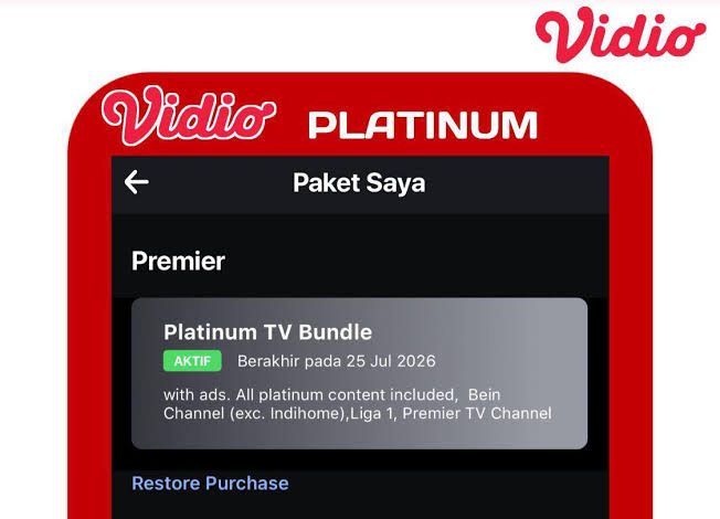 Jaminan Legalitas Maksimal Saat Beli Akun Vidio Premium